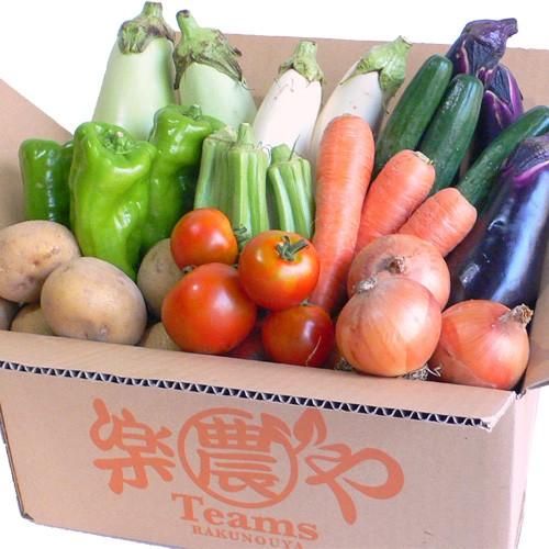 残暑御見舞 野菜 詰め合わせ 納得セット 農薬不使用 訳あり 不揃い 送料無料 Ra Set Bn あるまま 通販 Yahoo ショッピング