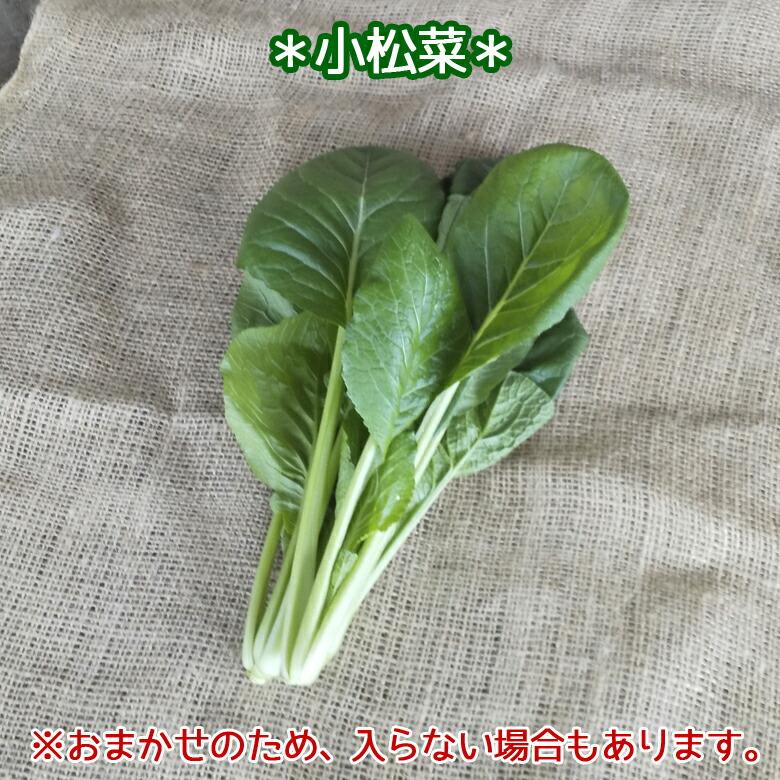 野菜セット 詰め合わせ 納得セット 但馬産 農薬不使用 宮崎産 特別栽培 旬野菜 不揃い 送料無料 楽農や 8〜10品 |  | 05