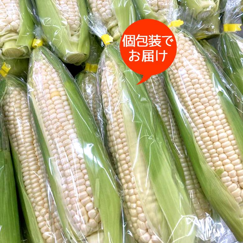 極甘！白いとうもろこし10本入3箱 予約販売】極甘！有機ホワイトコーン10本：北海道産の野菜｜食べ