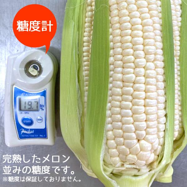 極甘！白いとうもろこし10本入3箱 極甘！白いとうもろこし10本入3箱