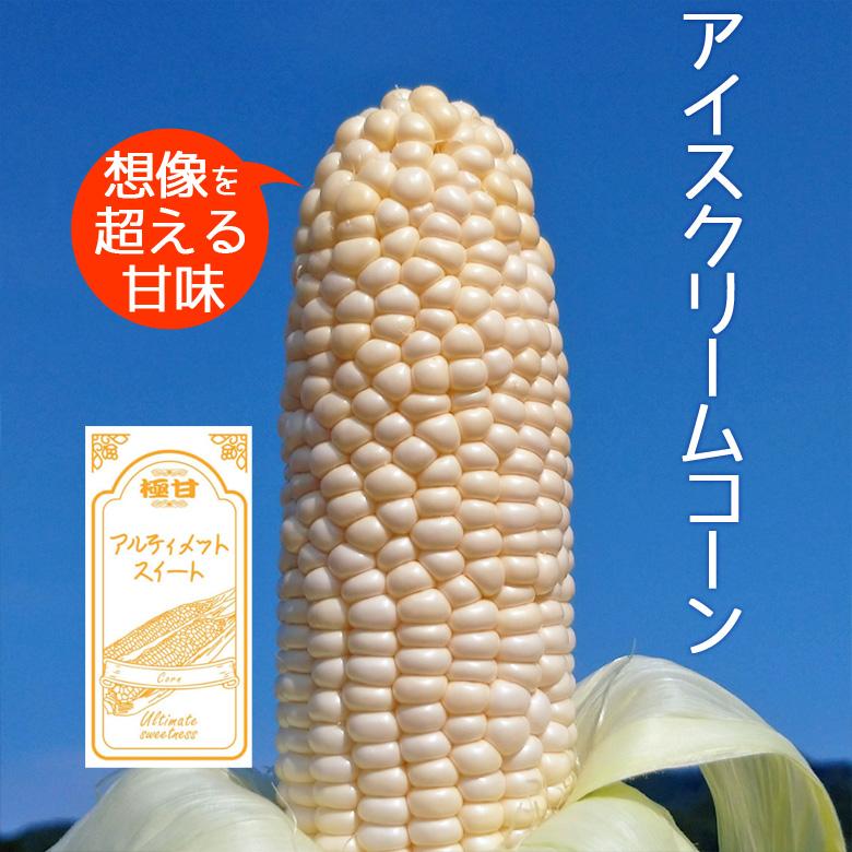 アイスクリームコーン 白いトウモロコシ ホワイトコーン 3kg（5〜8本