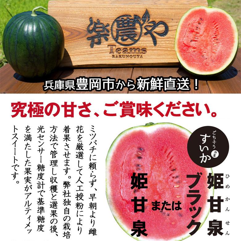 超高糖度 小玉 スイカ 姫甘泉ブラック 農薬不使用 すいか ギフト 送料無料 Ra Whu あるまま 通販 Yahoo ショッピング