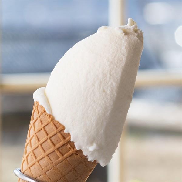 らいらっく ジェラート アイス 10個 ギフト アイスクリーム 送料無料｜arumama｜03