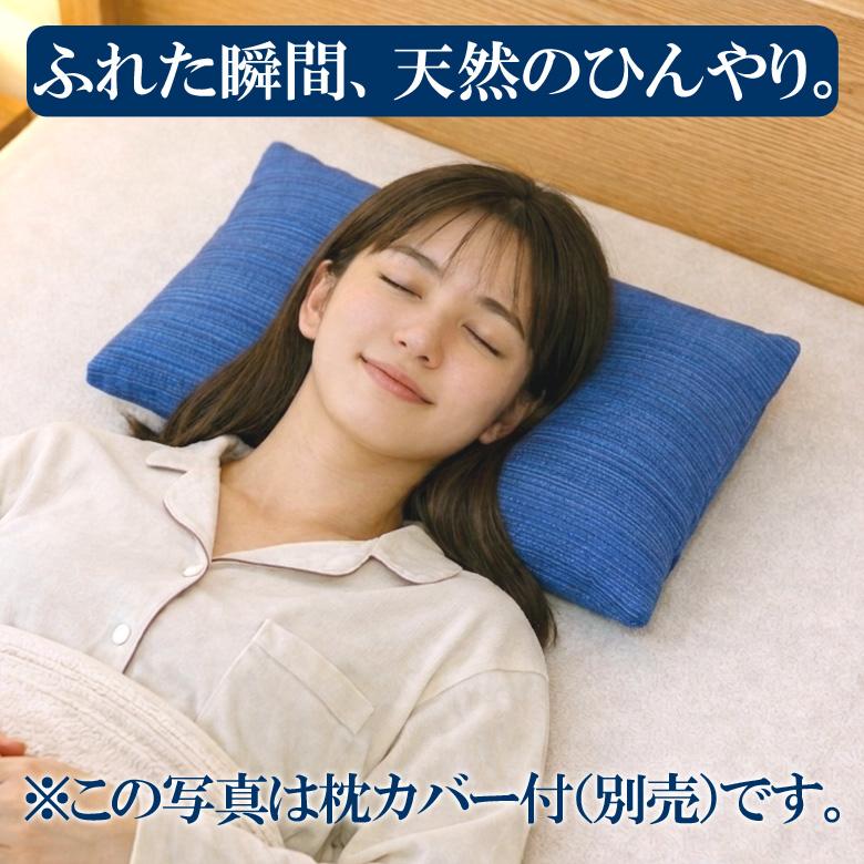 涼しい枕 ひんやり 快眠 あずき枕 高さ5cm 小豆枕 殿の楽枕（枕カバー