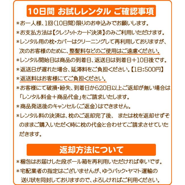 【10日間！お試しレンタル】ちょい寝 お昼寝 枕 みらくるん 枕カバー付き 小豆枕 あずき枕 ひんやり 吸熱効果 仮眠 日本製 送料無料【クレジット決済のみ】 |  | 01