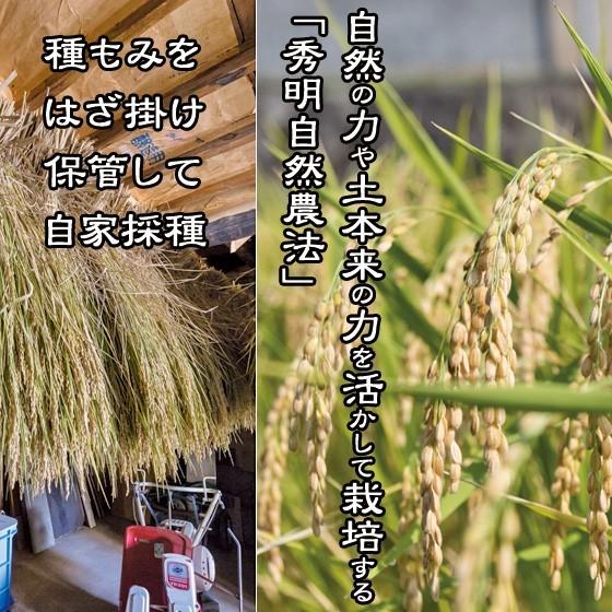 酒粕 板粕 1kg 夫婦杉 自然米酒 秀明自然農法 山田錦 純米酒 八鹿酒造 ＼クーポン有／ |  | 01