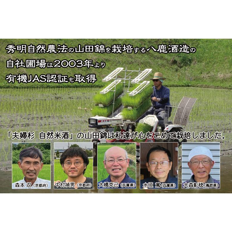 酒粕 板粕 1kg 夫婦杉 自然米酒 秀明自然農法 山田錦 純米酒 八鹿酒造 ＼クーポン有／ |  | 02