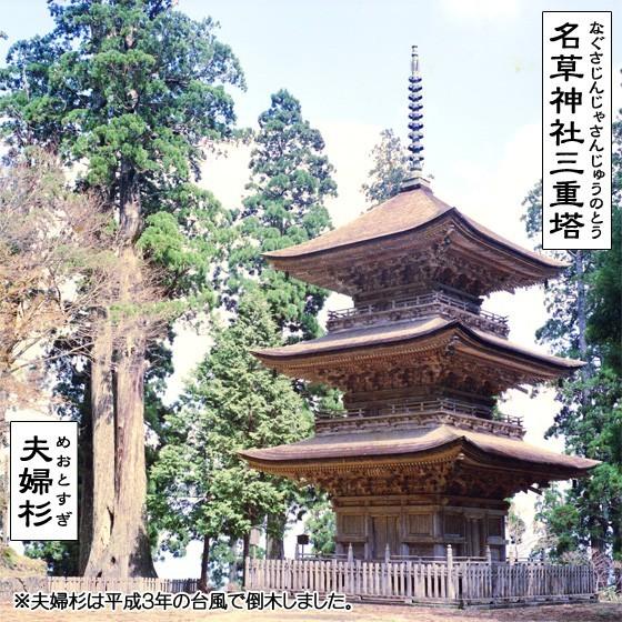 酒粕 板粕 1kg 夫婦杉 自然米酒 秀明自然農法 山田錦 純米酒 八鹿酒造 ＼クーポン有／ |  | 05