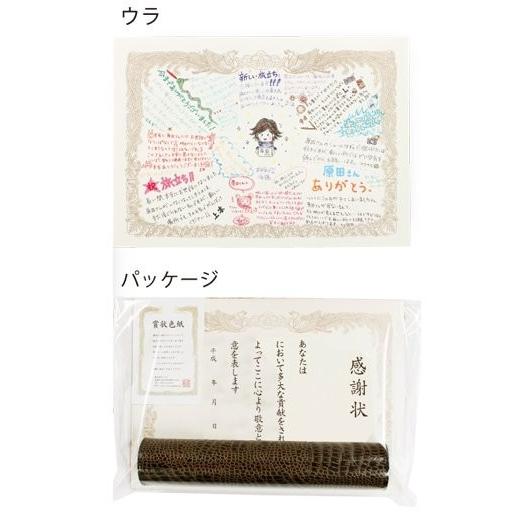 おもしろ寄せ書き色紙 賞状色紙 表彰状 プレゼント ギフト 色紙 卒業式 よせがき 送別会 毎週更新
