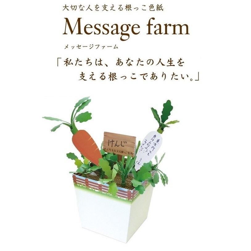 メール便対応1個まで おもしろ寄せ書き色紙 体験型寄せ書き色紙 メッセージファーム プレゼント ギフト 色紙 よせがき 卒業式 送別会 プレゼント Ar Arune仮装雑貨のお店あるね 通販 Yahoo ショッピング