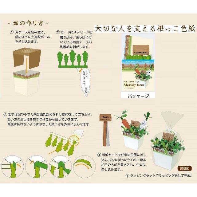 メール便対応1個まで おもしろ寄せ書き色紙 体験型寄せ書き色紙 メッセージファーム プレゼント ギフト 色紙 よせがき 卒業式 送別会 プレゼント Ar Arune仮装雑貨のお店あるね 通販 Yahoo ショッピング