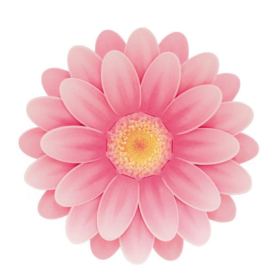 市場 プリティフラワー ピンク ミニ菊