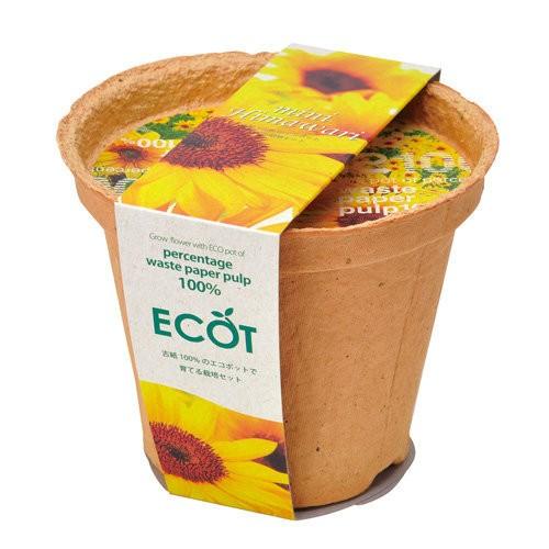 85 Off 聖新陶芸 スマイル サンフラワー エコット 植物 グリーン 栽培セット ガーデニング プチプラ ギフト 景品 プレゼント 母の日 父 の日