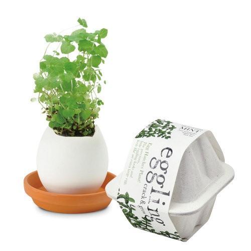 163円 正規 聖新陶芸 エッグリング エコフレンドリー ミント 植物 グリーン 栽培セット ガーデニング プチプラ ギフト 景品 プレゼント 母の日 父の日
