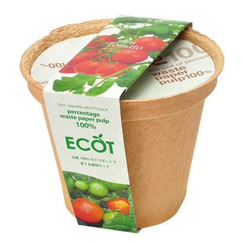 222円 買収 聖新陶芸 エコット M ミニトマト 植物 グリーン 栽培セット ガーデニング プチプラ ギフト 景品 プレゼント 母の日 父の日