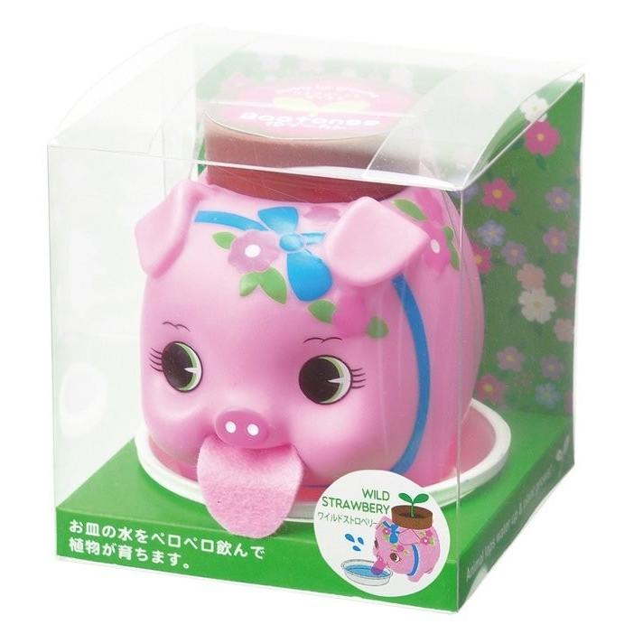 花ぶーたん Bootan ワイルドストロベリー栽培セット ピンクブータン 花ブタ貯金箱型ハーブ栽培キット 観葉植物 ガーデニング 聖新陶芸 ギフト プレゼント Bs Arune仮装雑貨のお店あるね 通販 Yahoo ショッピング
