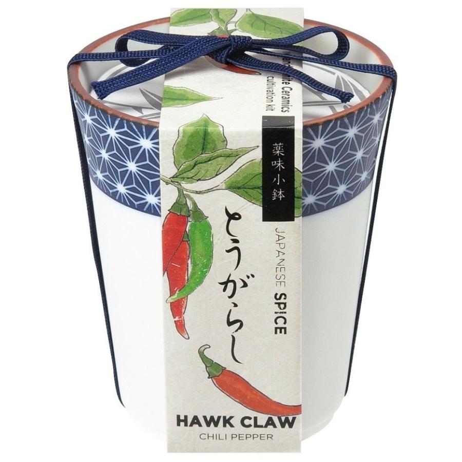 247円 新品入荷 薬味小鉢 とうがらし栽培キット トウガラシ 唐辛子 観葉植物 ガーデニング 聖新陶芸 ギフト プレゼント 母の日 父の日