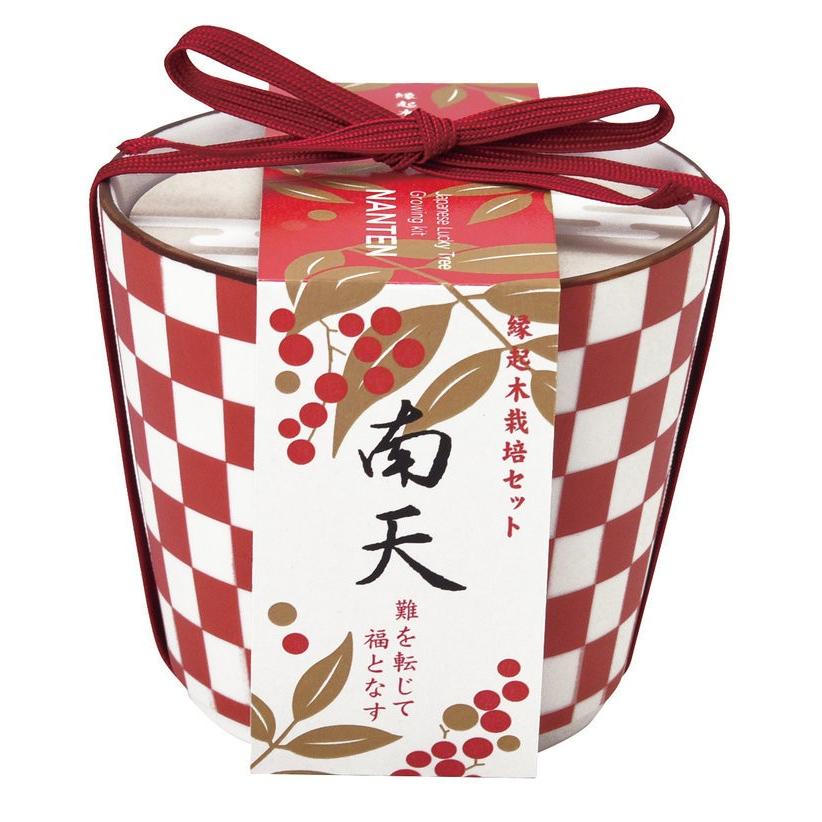 縁起木栽培セット 南天 観葉植物 ガーデニング 聖新陶芸 ギフト プレゼント 栽培セット インテリア雑貨 母の日 父の日 90 以上節約