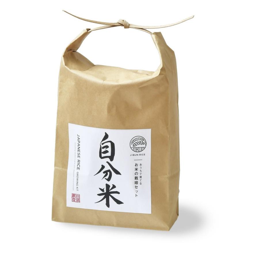 自分米 栽培セット 観葉植物 ガーデニング 聖新陶芸 ギフト プレゼント 栽培セット インテリア雑貨 母の日 父の日 Bs Arune仮装雑貨のお店あるね 通販 Yahoo ショッピング