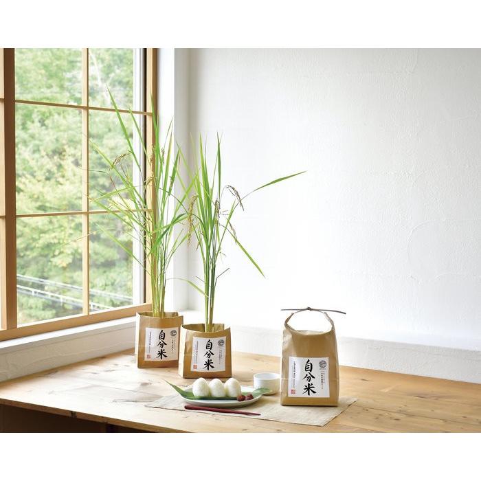 自分米 栽培セット 観葉植物 ガーデニング 聖新陶芸 ギフト プレゼント 栽培セット インテリア雑貨 母の日 父の日 Bs Arune仮装雑貨のお店あるね 通販 Yahoo ショッピング