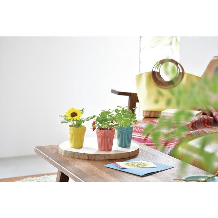 ボタニカルポット 四つ葉のクローバー 観葉植物 ガーデニング 聖新陶芸 ギフト プレゼント 栽培セット インテリア雑貨 Bs Arune仮装雑貨のお店あるね 通販 Yahoo ショッピング