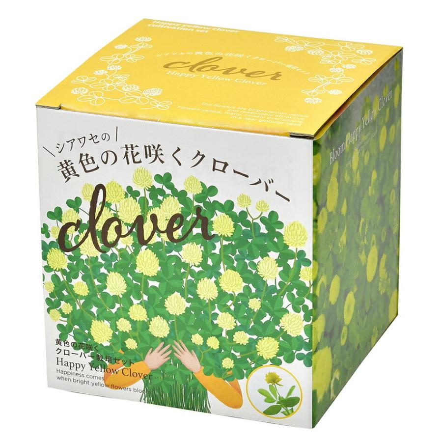 シアワセの黄色の花咲くクローバー栽培セット Happy Yellow Clover 栽培セット 聖新