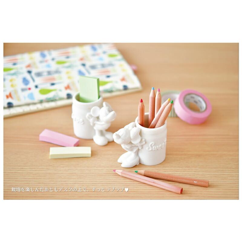 ディズニー グリーンキッス ミッキーマウス アップルミント 観葉植物 栽培セット 聖新陶芸 ガーデニング インテリア雑貨 プレゼント ギフト 景品 Bs Arune仮装雑貨のお店あるね 通販 Yahoo ショッピング