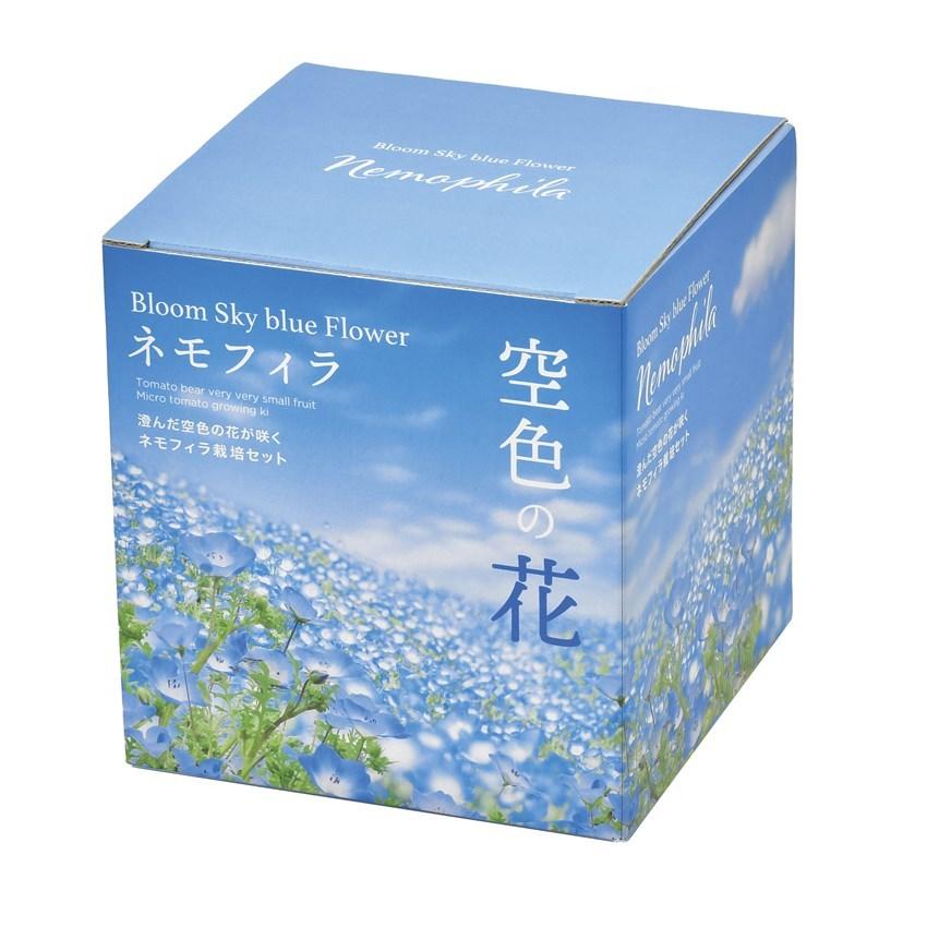 空色の花 ネモフィラ栽培セット Sky Blue Flower Nemophila ネモフィラ 聖新陶芸 ガーデニング インテリア雑貨 プレゼント ギフト 景品 Bs Arune仮装雑貨のお店あるね 通販 Yahoo ショッピング