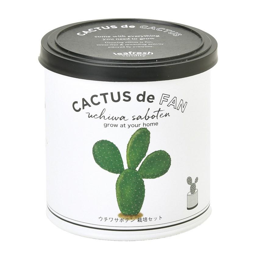 カクタス De カクタス ウチワサボテン 観葉植物 ミニサボテン 栽培セット 聖新陶芸 観葉植物 ガーデニング インテリア雑貨 プレゼント ギフト 景品 Bs Arune仮装雑貨のお店あるね 通販 Yahoo ショッピング