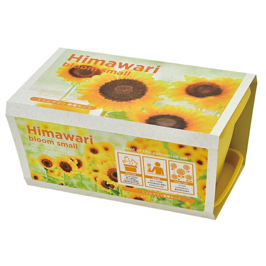 386円 激安正規 エンジョイプランター フラワー ミニヒマワリ プチガーデニング 栽培セット 聖新陶芸 観葉植物 ガーデニング インテリア雑貨 プレゼント ギフト 母の日 父の日