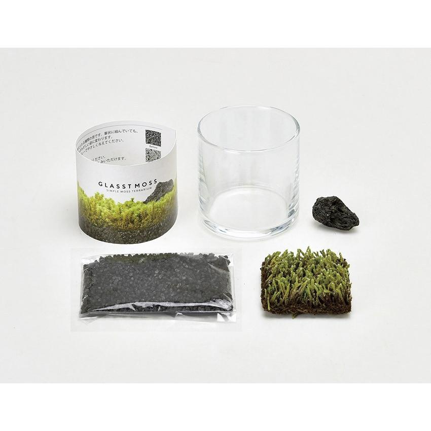 グラストモスｓ 苔テラリウム コケ栽培セット 聖新陶芸 観葉植物 ガーデニング インテリア雑貨 プレゼント ギフト Bs Arune仮装雑貨のお店あるね 通販 Yahoo ショッピング