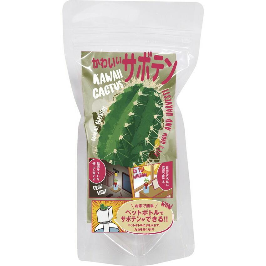 グリーントイ かわいいサボテン ペットボトルで育てる栽培セット 聖新陶芸 観葉植物 プレゼント ギフト 景品 Bs Arune仮装雑貨のお店あるね 通販 Yahoo ショッピング