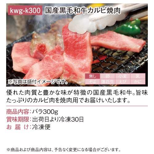 景品ならパネル目録 景品目録ギフト パネもく！ 国産黒毛和牛カルビ焼肉 A4パネル付き 景品ギフト券 kwg-k300-rb｜arune｜05