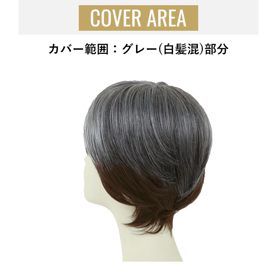 白髪男性用かつら 男性用部分かつら 男性用五分ウィッグ 部分ウィッグ