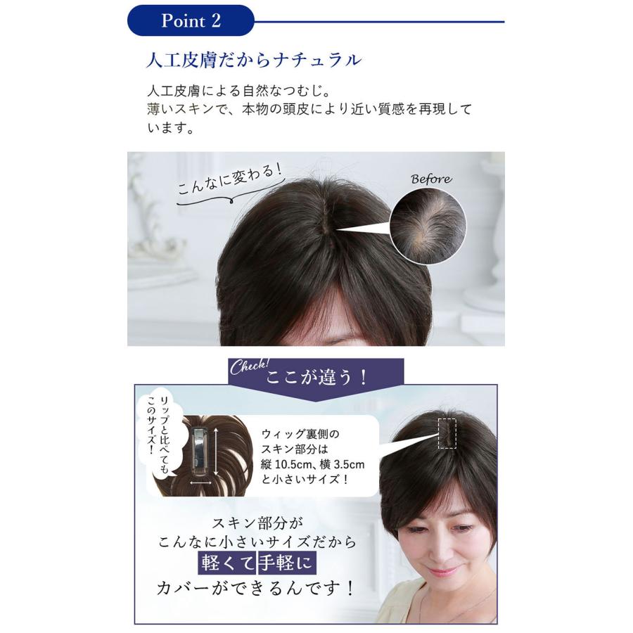 ヘアピース耐熱 白髪隠しウィッグ 分け目タイプ ウイッグ ST-005 ST