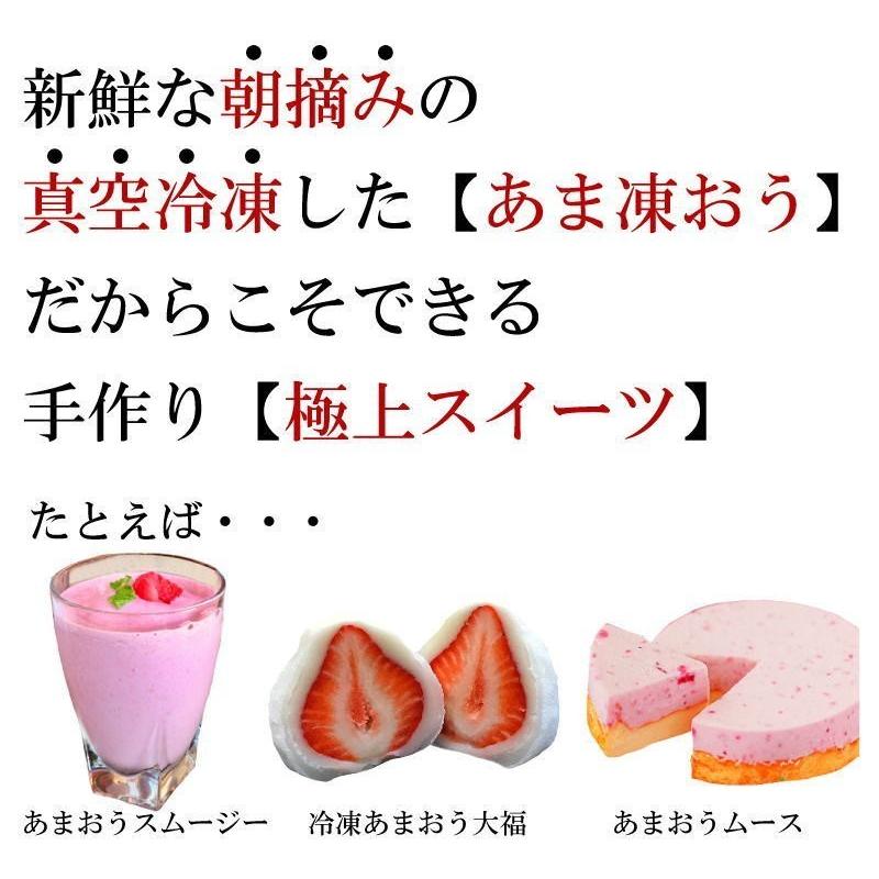 4袋で送料無料 朝摘みの新鮮なあまおうを真空冷凍 あま凍おう300g カット スムージー アイスクリーム 特価品コーナー 甘王 苺 いちご 大福 ムース イチゴ
