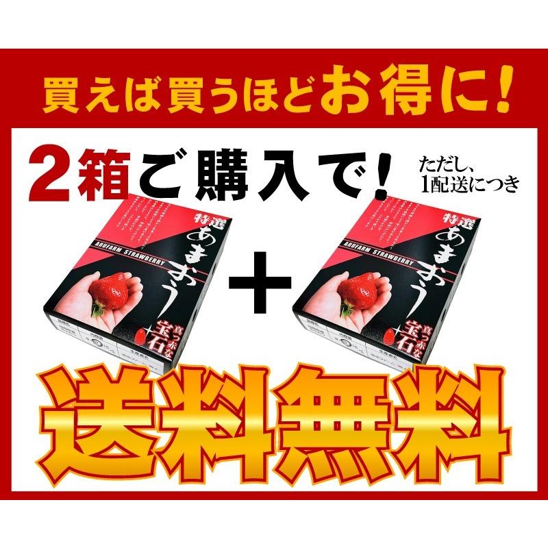 2箱以上で送料無料 特大の苺 いちごの王様 あまおうイチゴ 勝ちたきゃ食え！「社長のあまおう特大9から15玉入」 |  | 05