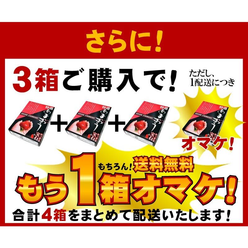 2箱以上で送料無料 特大の苺 いちごの王様 あまおうイチゴ 勝ちたきゃ