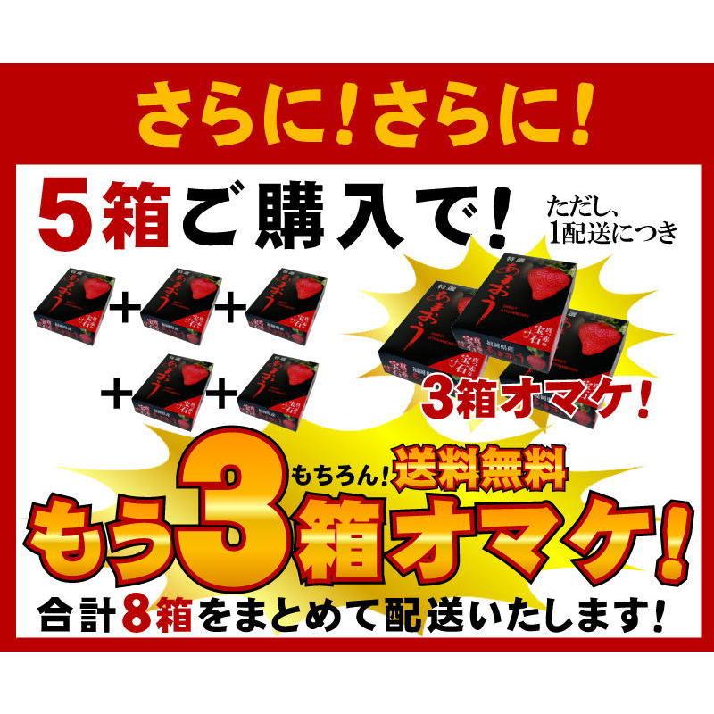 2箱以上で送料無料 特大の苺 いちごの王様 あまおうイチゴ 勝ちたきゃ食え！「社長のあまおう特大9から15玉入」 |  | 07