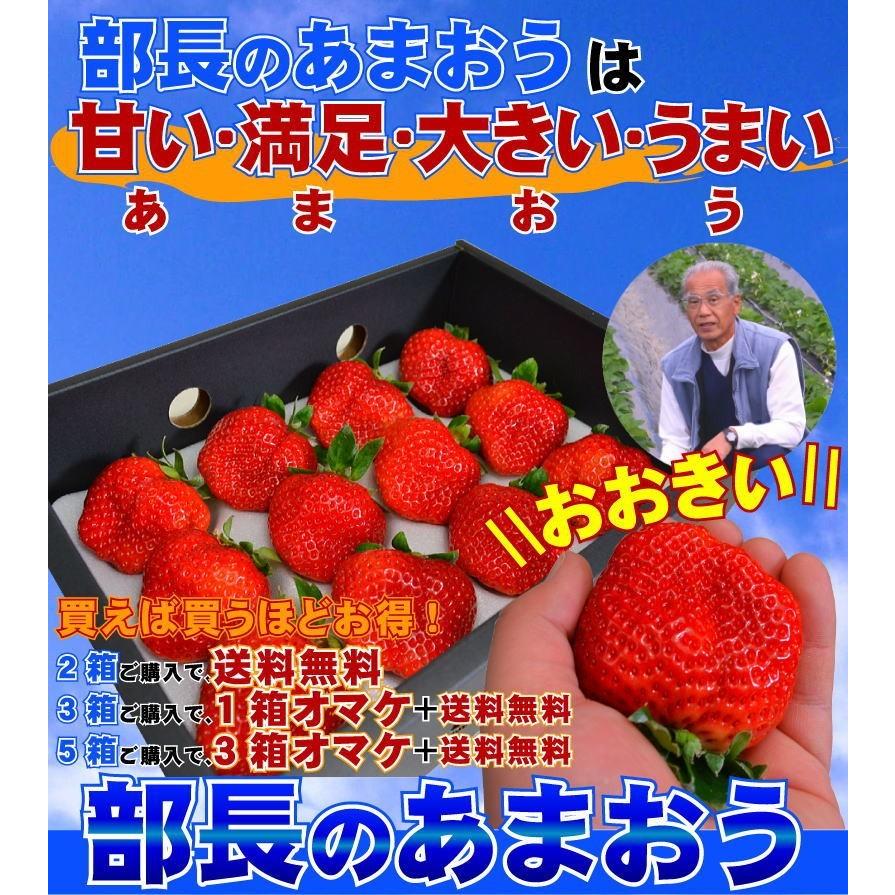 プレミアム特大あまおう9〜15玉入×2箱 苺(いちご)イチゴのアマオウ - 果物