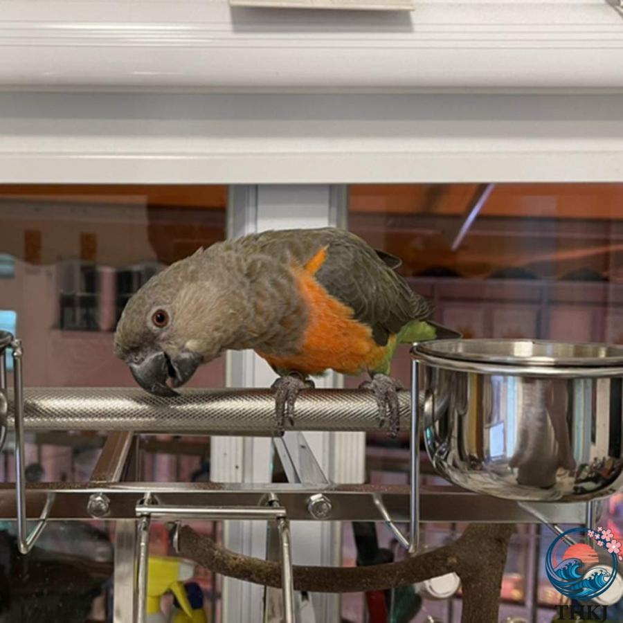 鳥かご ケージ 豪華な大型オウムケージ 304ステンレス鋼の鳩の檻 THKJ キャスター付きの移動可能な動物の別荘 45*45 使いやすい お手入れ簡単 快適 おすすめの画像