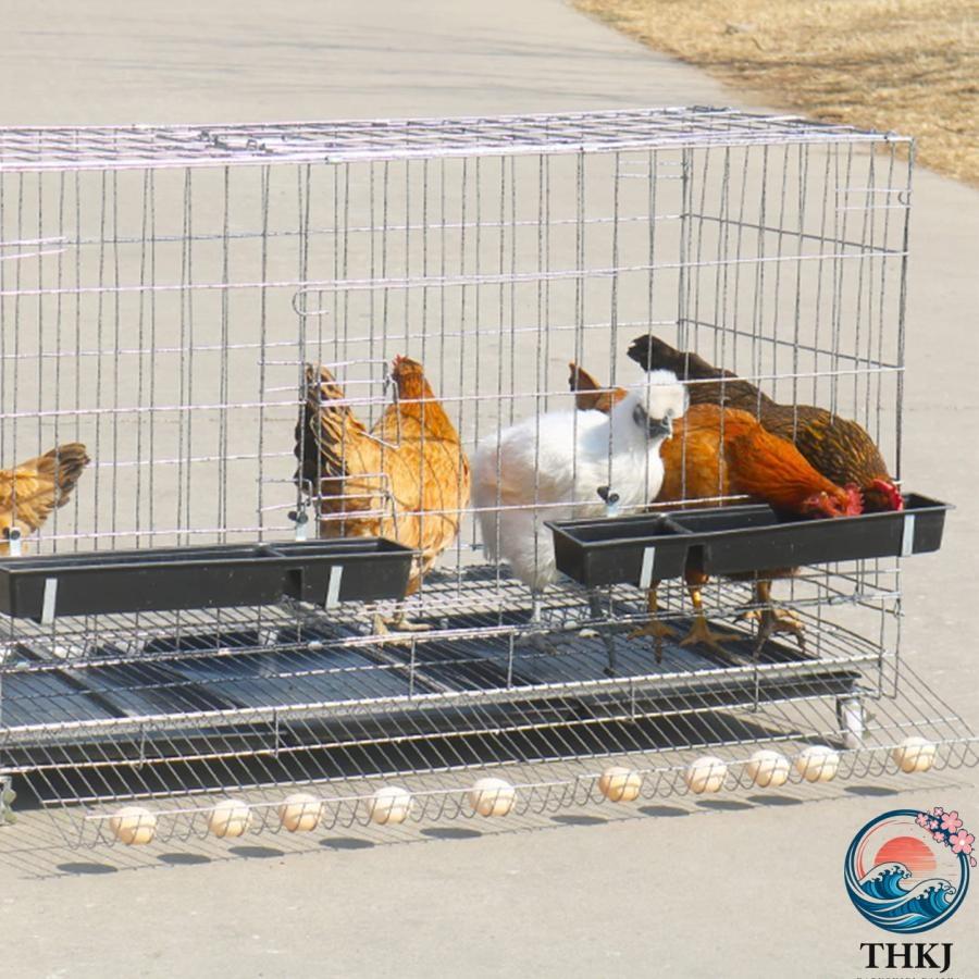 特大世帯折りたたみ鶏小屋 鶏小屋 チキンケージ飼育ケージ THKJ フードボウル付き 自動エッグロールケージ トレー 水槽 使いやすい お手入れ簡単 快適_6