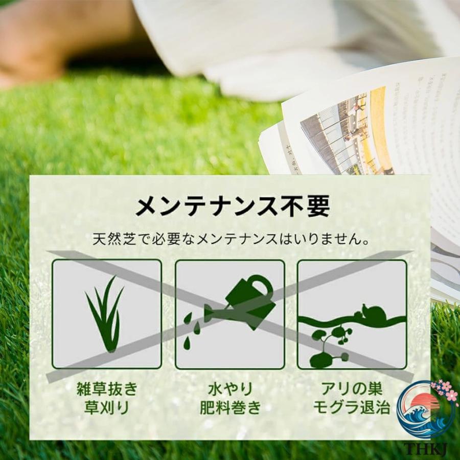 ブランド登録なし - 人工芝 渦巻形 1m×5m 芝丈35粍 いの一番22本つき 4色立体感 透水穴つき  即物的 ふかふか 高品質 密集して 色落ちにくい 抜けにくい 取りもどす性 立体感 園芸に助けになる