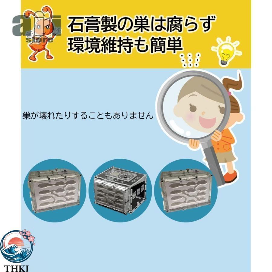 アリ飼育キット 石膏製巣箱 透明アクリル製ケース アリの巣観察キット