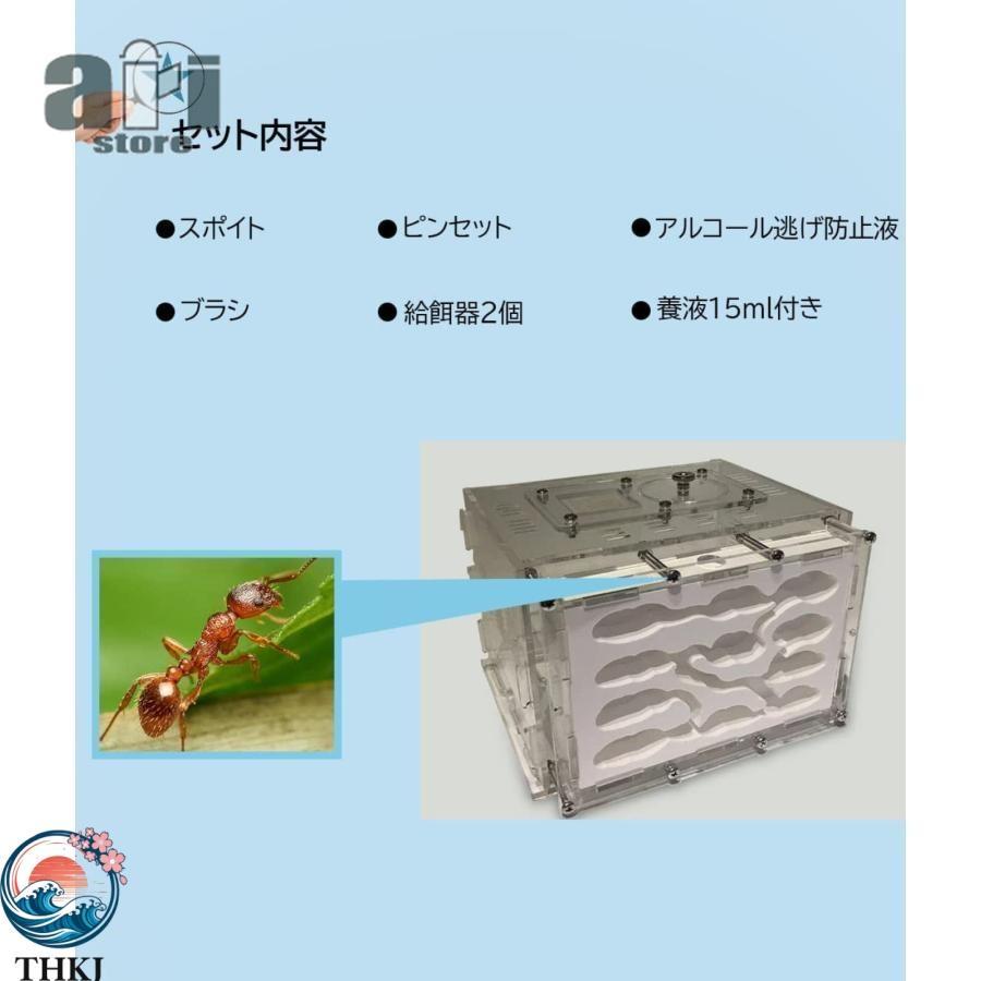 アリ飼育キット 石膏製巣箱 透明アクリル製ケース アリの巣観察キット
