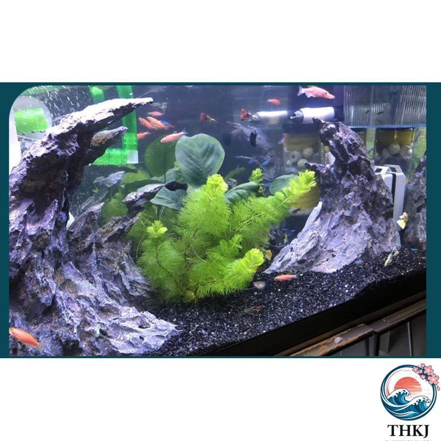 アクアリウムオーナメントアクアリウム石水槽オーナメント洞窟隠れ家