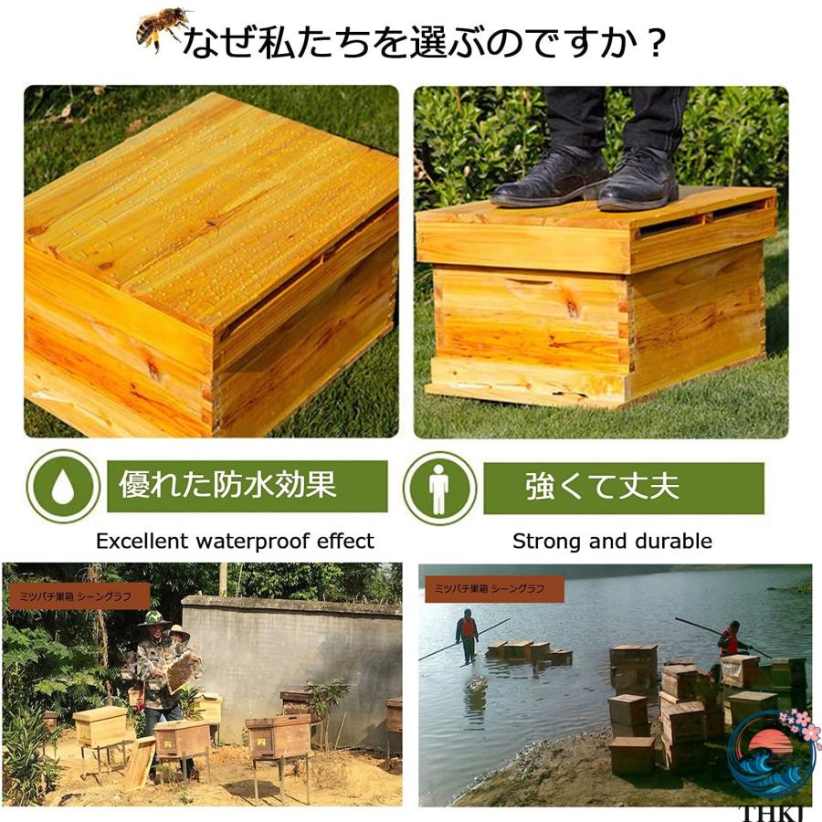 ミツバチ巣箱セット 養蜂 巣箱 キット 6フレーム ミツバチの巣箱