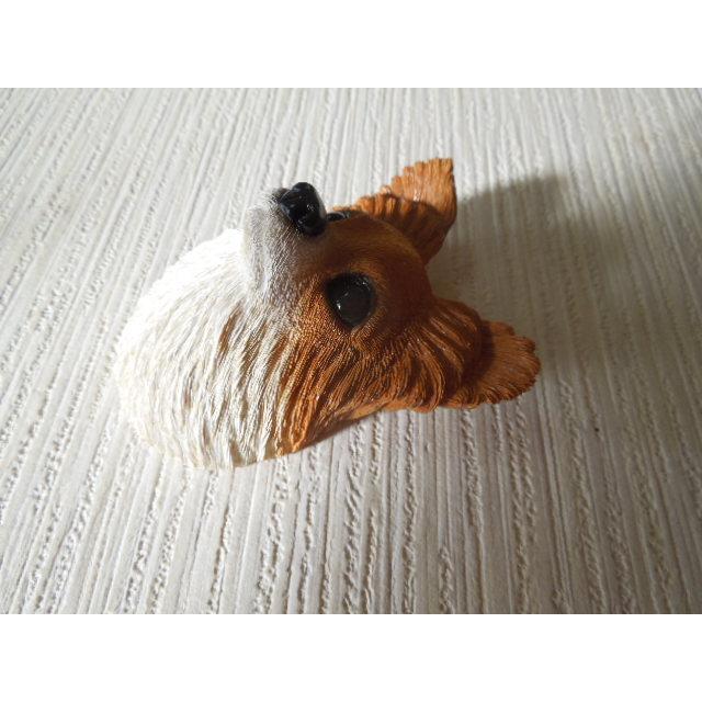 犬の顔 パピヨン 茶色 わんちゃんフェイス リアルフェイス 犬