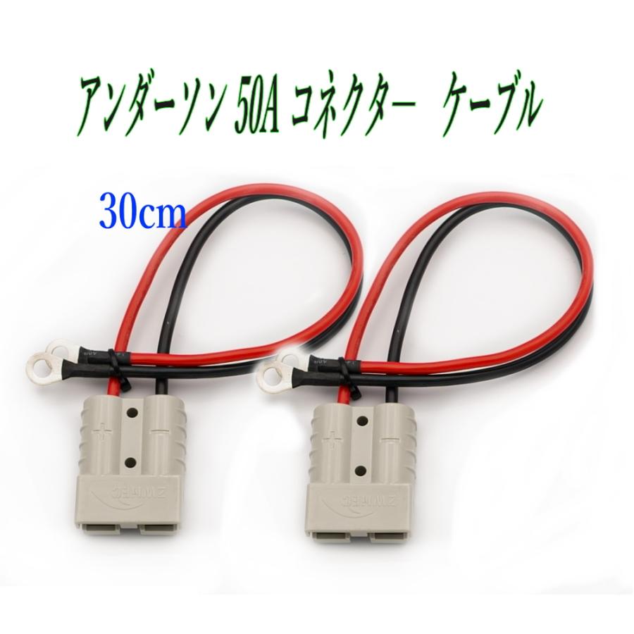 RIZ PLUS アンダーソン 50Aコネクタ― 12AWG 30cm 2個セット 