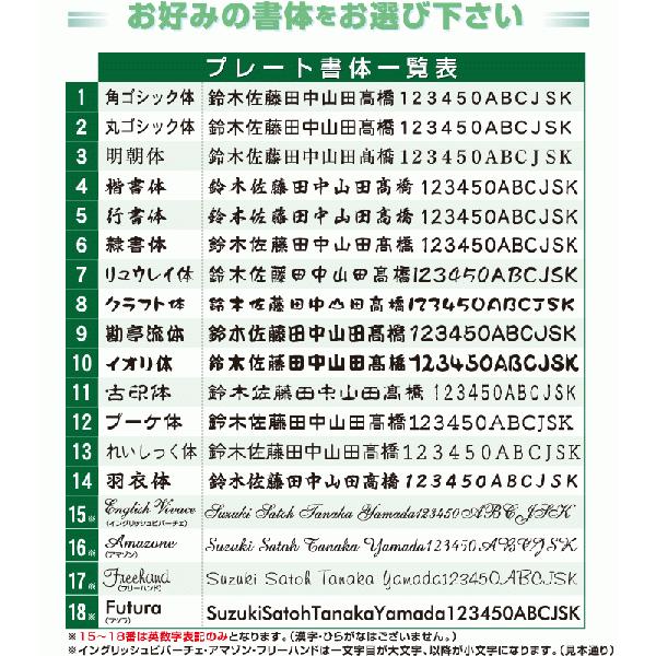 表札 ステンレス フレーム付 プレート 150mm×52mm マンション 戸建